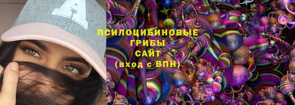 гидра Балахна
