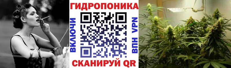 Шишки марихуана сатива  Бор 